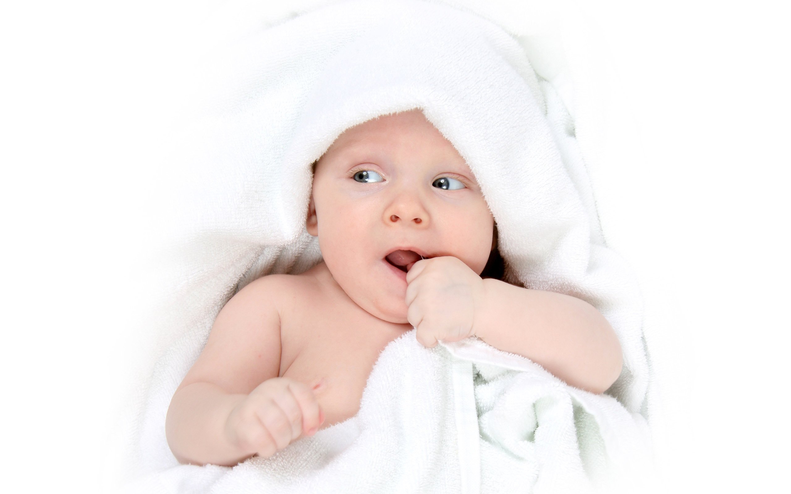 莆田借卵试管试管婴儿成功率低的原因